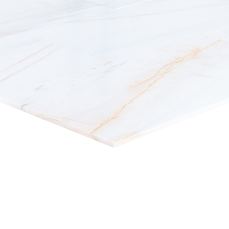 Bianco Dolomite Golden Spider Marble Polished Floor Wall Tile profile view