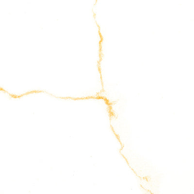 Miraggio Gold 24''x24'' Matte Porcelain Paver Floor Tile - MSI Collection product shot closeup view