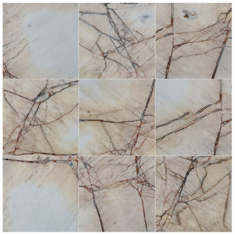 agora gold marble 24x24 polished multiple single view