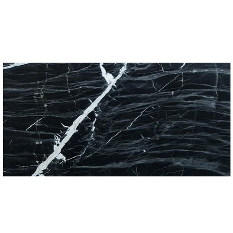 alexandrette black marble 12x24 polished top single view