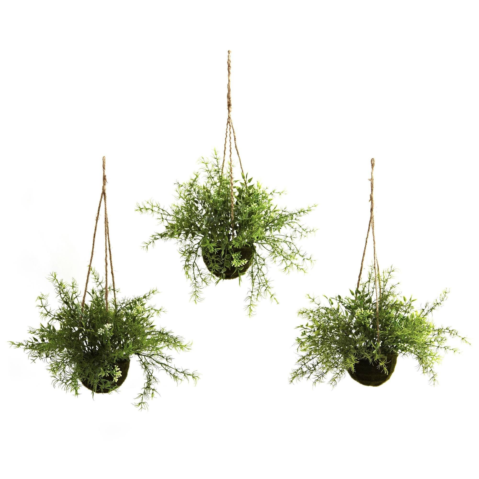 Nearly Natural Ruscus Sedum & Springeri Hanging Basket (Set of 3)