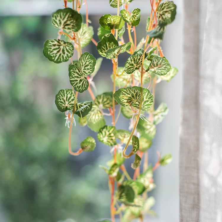 Begonia Leaf Hanging Vine 27