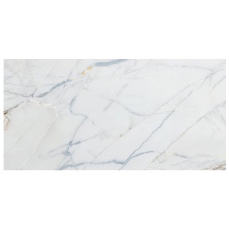 bianco rigata white exotic marble 24x48 polished top single view