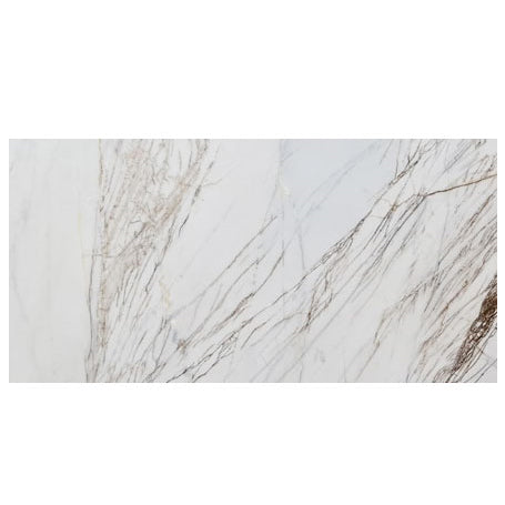 bianco rigata white exotic marble 24x48 polished top single view