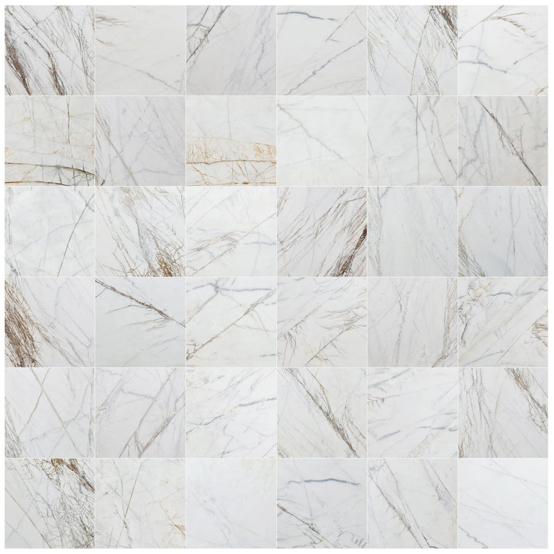 bianco rigata white exotic marble 24x24 polished top multiple view