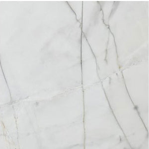 bianco rigata white exotic marble 24x24 polished top single view