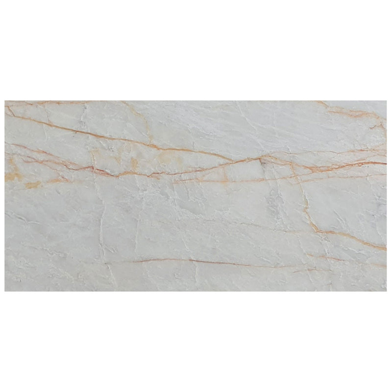 bianco venato white exotic marble 18x36 polished single top view3