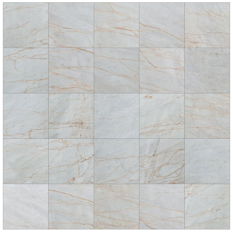 bianco venato white exotic marble 24x24 polished multiple top black grouted view