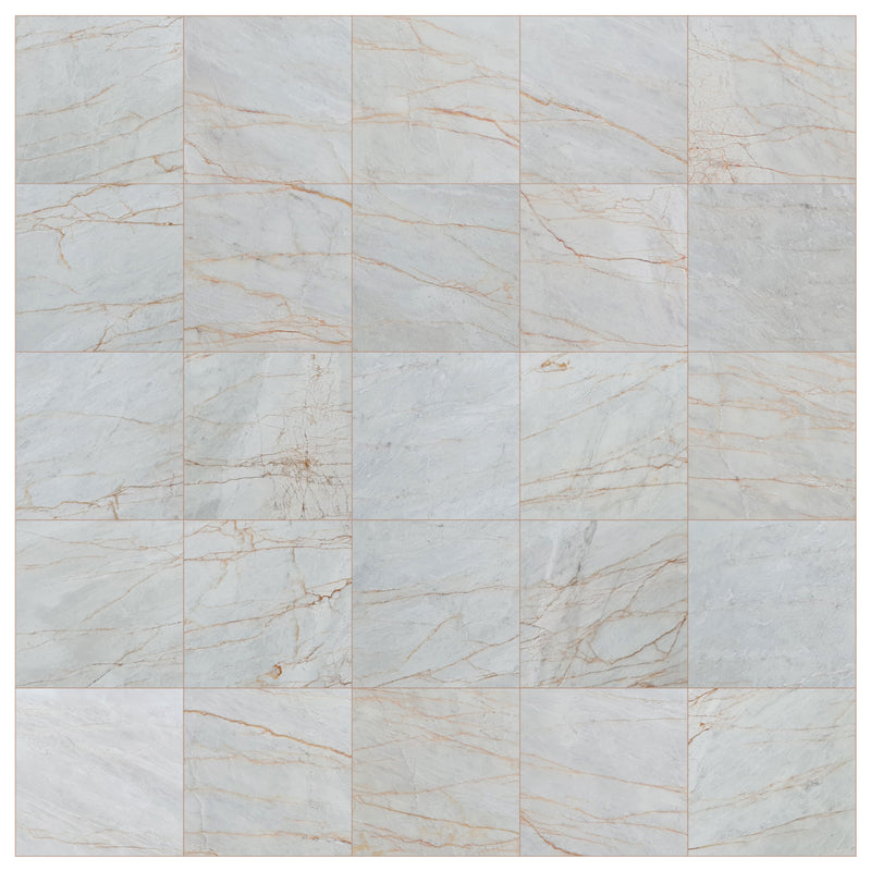 bianco venato white exotic marble 24x24 polished multiple top orange grouted view