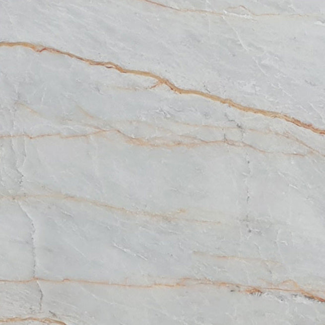 bianco venato white exotic marble 24x24 polished single top view3