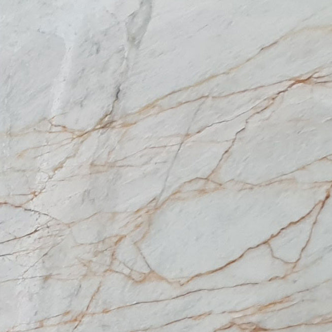 bianco venato white exotic marble 24x24 polished single top view4