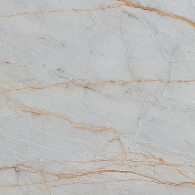 bianco venato white exotic marble 24x24 polished single top view5