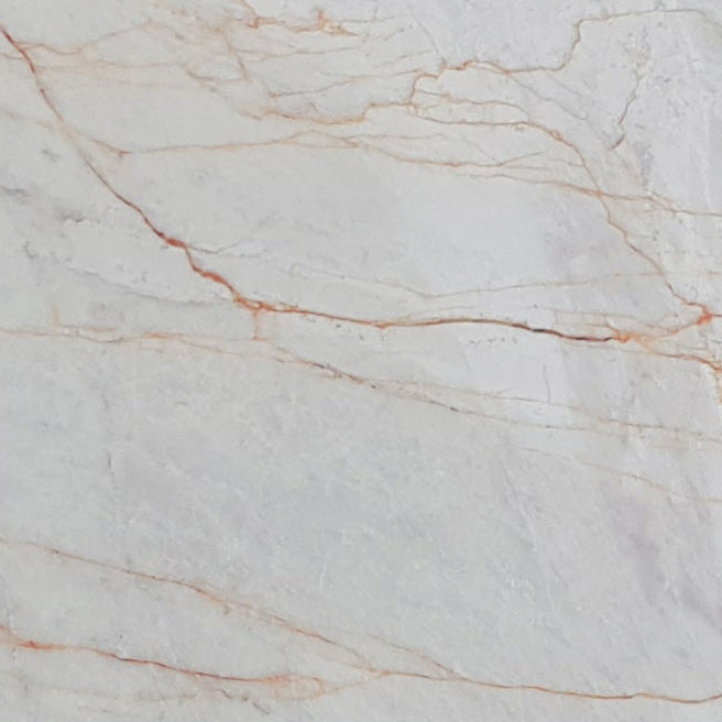 bianco venato white exotic marble 24x24 polished single top view