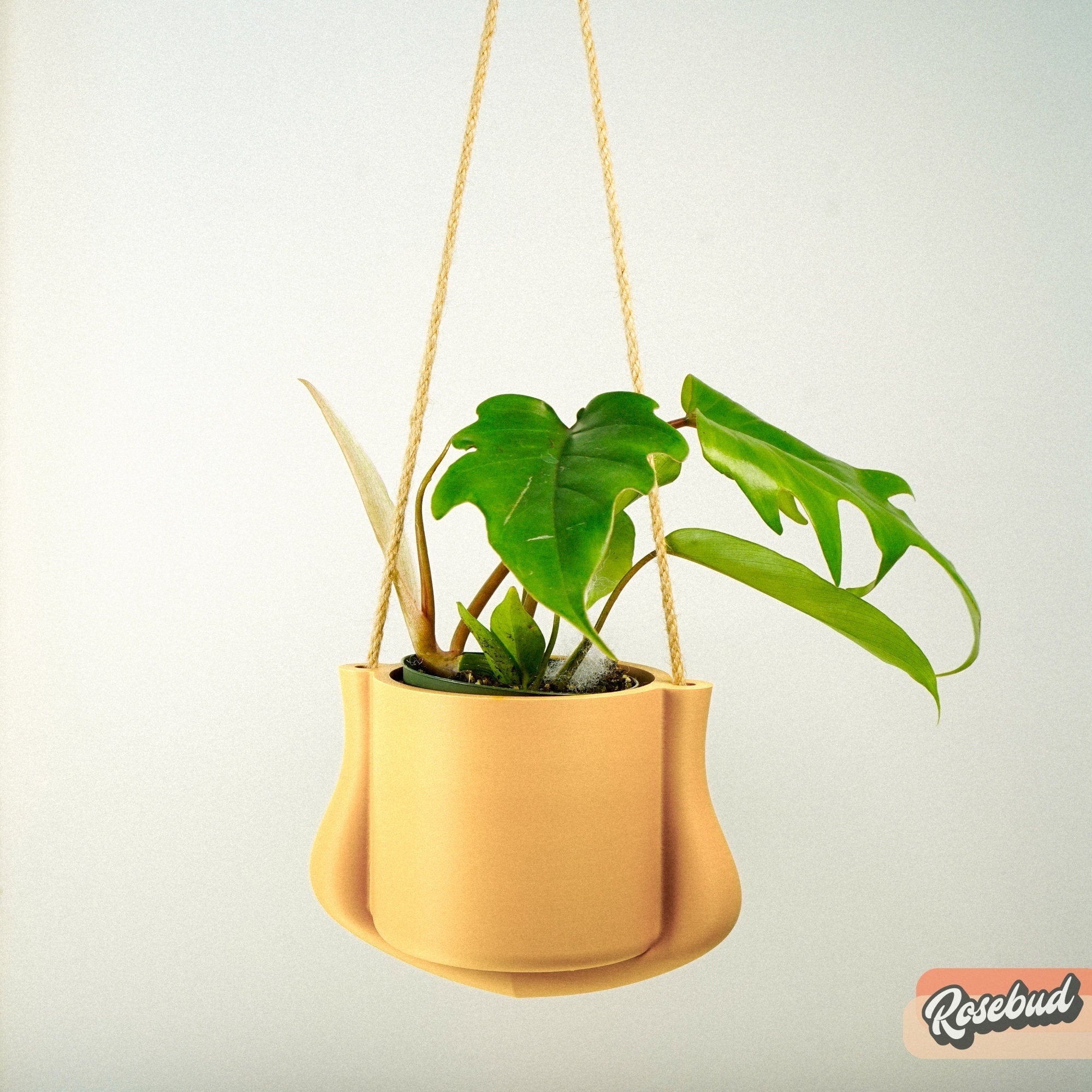 small hanging plant stand Hanging Planter
