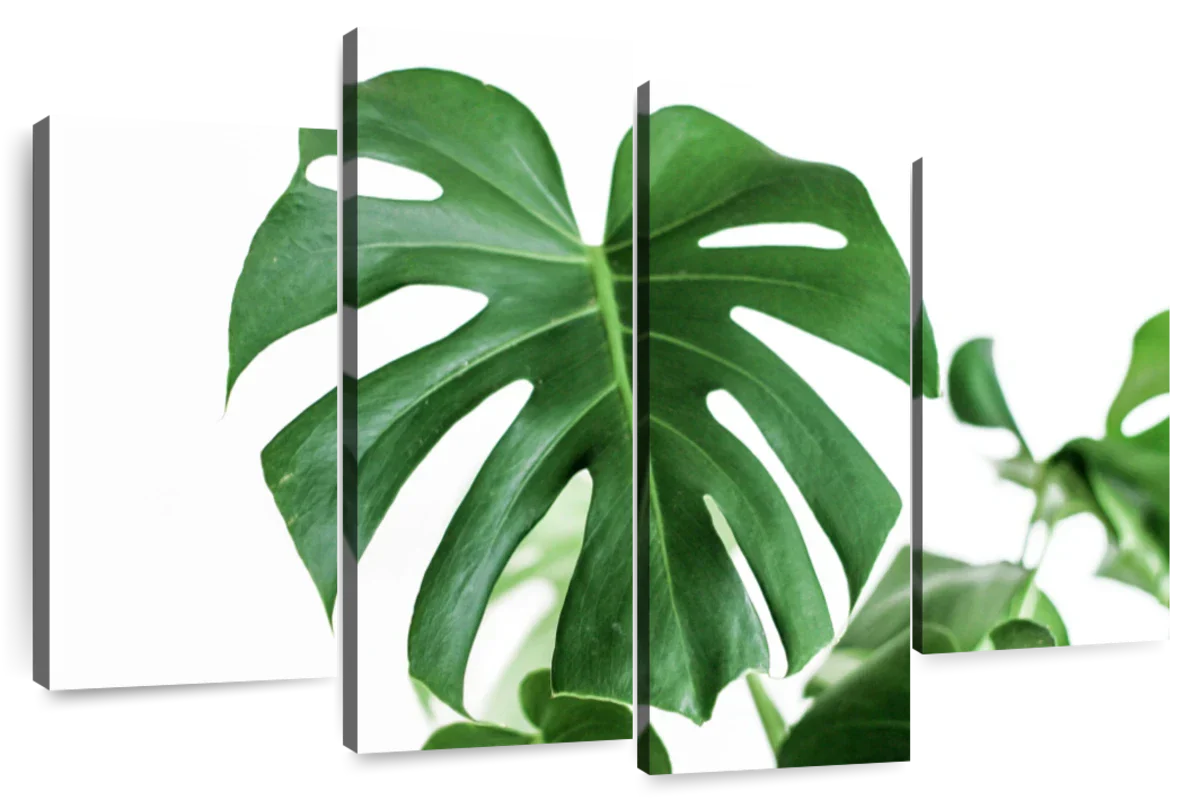monstera wall art Monstera Leaf Wall Art
