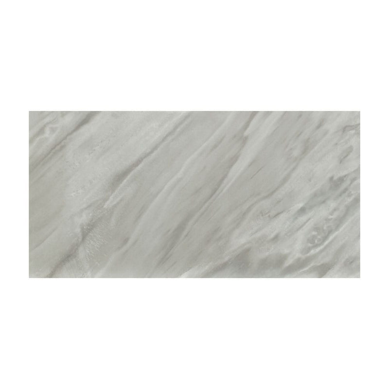 Eden bardiglio 12x24 matte porcelain floor and wall tile NEDEBAR1224 single tile top view pattern 5