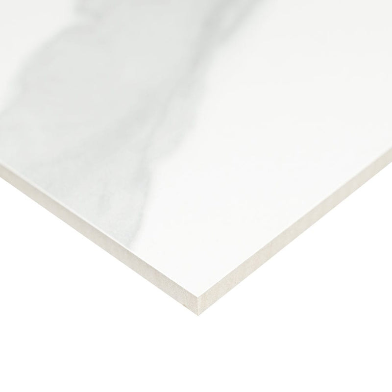 Eden Statuary 12"x24" Polished Porcelain Floor and Wall Tile NEDESTA1224P product shot profile view