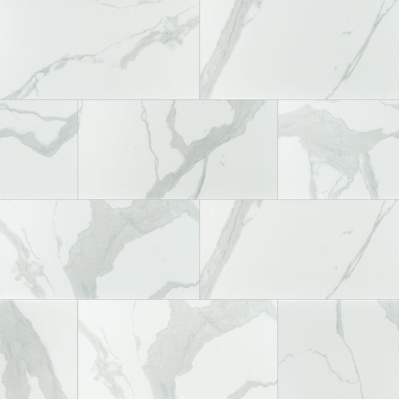 Eden Statuary 12"x24" Polished Porcelain Floor and Wall Tile NEDESTA1224P product shot wall view 2