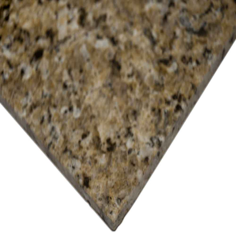New venetian gold 12 in x 12 in polished granite floor and wall tile TNEWVENGLD1212 product shot living profile view