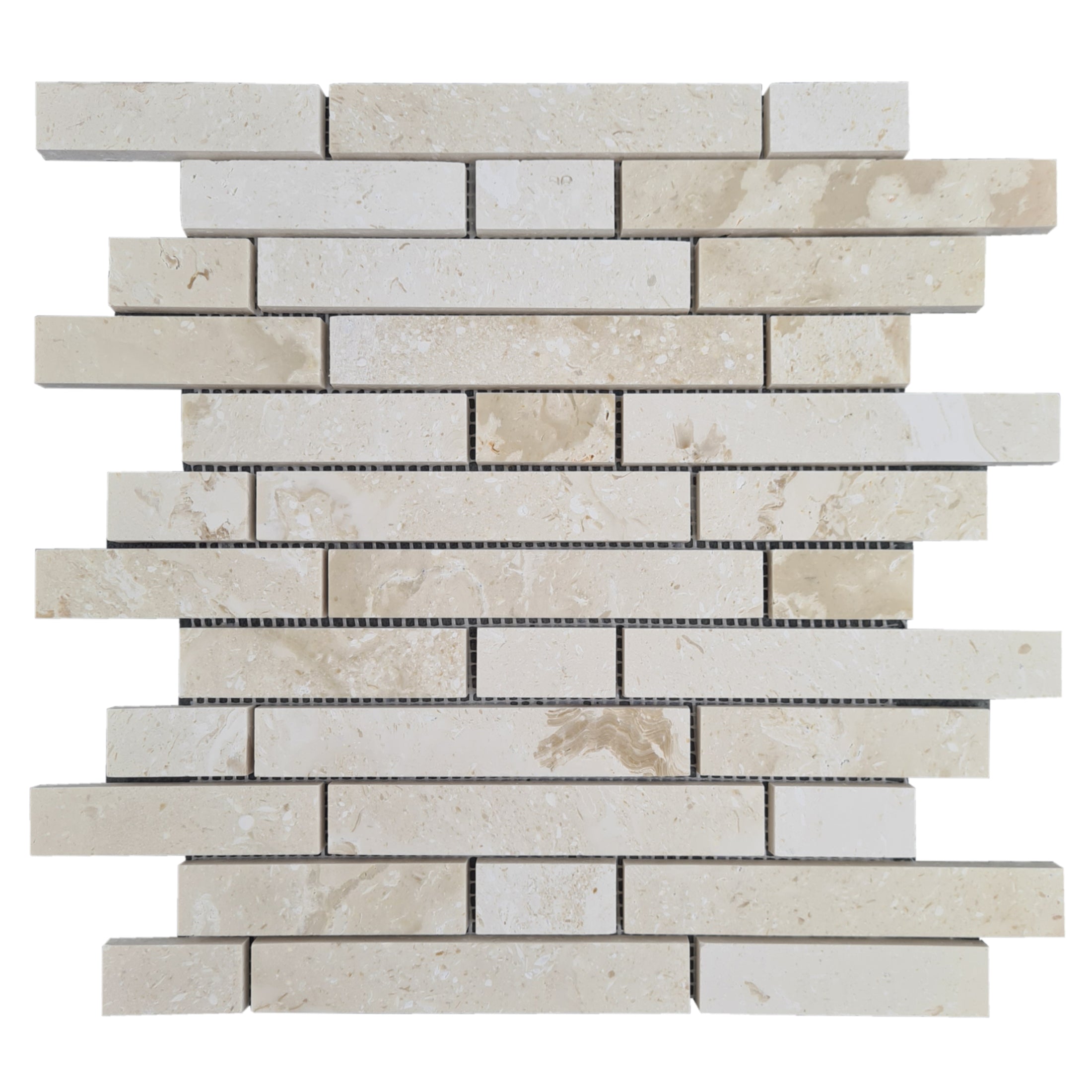 Shell Stone White Limestone Tiles 24x24 Floor and Wall Tile - Belair