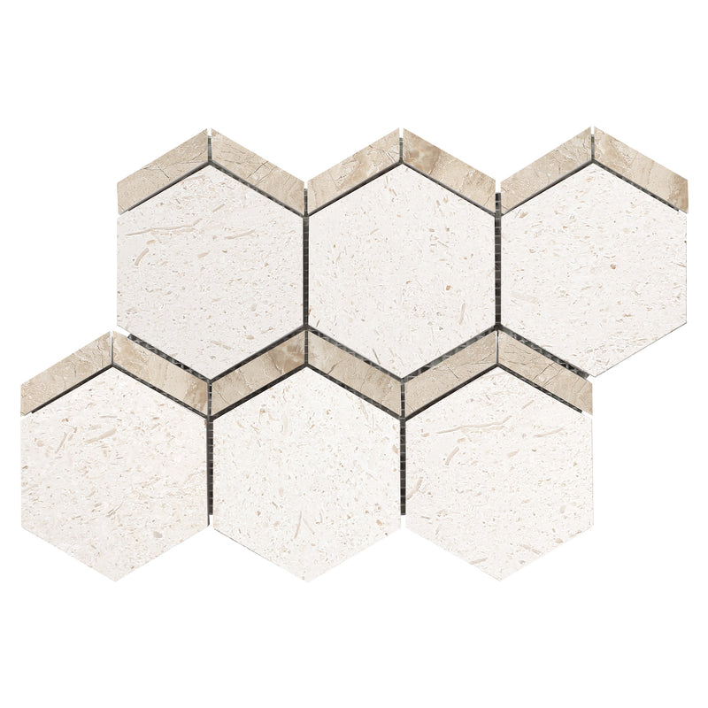 Shell stone limestone mosaic naples NPL 1320 on 12x12 mesh honed top view