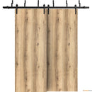 Planum 0010 Oak Double Barn Door and Black Bypass Rail