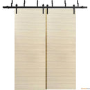 Planum 0010 Natural Veneer Double Barn Door and Black Bypass Rail