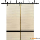 Planum 0012 Natural Veneer Double Barn Door and Black Bypass Rail