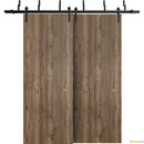 Planum 0010 Walnut Double Barn Door and Black Bypass Rail