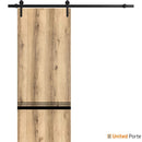 Planum 0012 Oak Barn Door and Black Rail