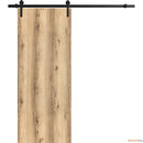 Planum 0010 Oak Barn Door and Black Rail