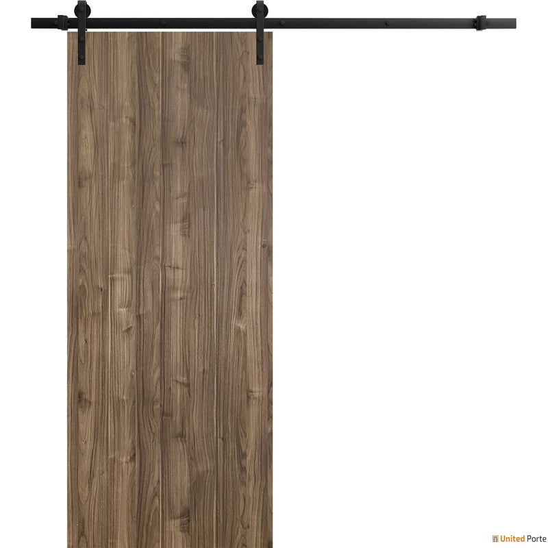 Planum 0010 Walnut Barn Door and Black Rail