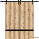 Planum 0012 Oak Double Barn Door and Black Rail