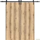 Planum 0010 Oak Double Barn Door and Black Rail