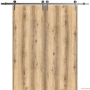Planum 0010 Oak Double Barn Door and Silver Rail