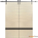 Planum 0012 Natural Veneer Double Barn Door and Silver Rail
