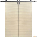 Planum 0010 Natural Veneer Double Barn Door and Silver Rail