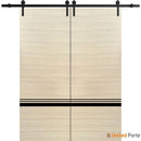 Planum 0012 Natural Veneer Double Barn Door and Black Rail