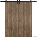 Planum 0010 Walnut Double Barn Door and Black Rail