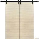 Planum 0010 Natural Veneer Double Barn Door and Black Rail