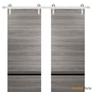 Planum 0012 Ginger Ash Double Barn Door and Silver Rail