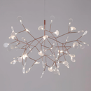 Heracleum Chandelier