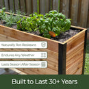 18" x 60" Raised Garden Bed - 30" TALL / Select Grade