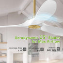 52 Inch Ceiling Fan With Remote DC Motor Indoor Outdoor Use