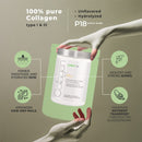Collagen P18