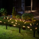 Solar Garden Lights (2 Pack)