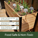 18″ x 18″ Planter Box - 24" TALL / Select Grade