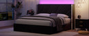 Full Size Modern Upholstered LED Bed Frame with Storage Drawers, Velvet Platform Bed with Wingback Headboard, RGB Light, Wooden Slats Support, No Box Spring Needed, Black