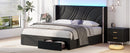 Full Size Modern Upholstered LED Bed Frame with Storage Drawers, Velvet Platform Bed with Wingback Headboard, RGB Light, Wooden Slats Support, No Box Spring Needed, Black