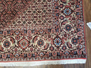 Persian Bijar Rug 8x11 - Herati Mahi Pattern